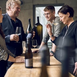 Weingut-am-Stein-2023−09 1595-scaled-1