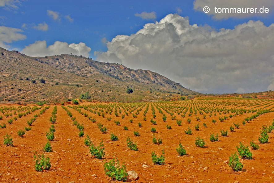 Castille – Spain