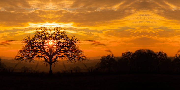 Naturfotografie