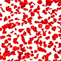 Rote Blutkörperchen (Erythrozyten)