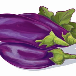 Auberginen