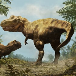 T-Rex wisschenschaftl. Illustration