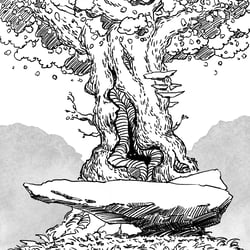 Baum