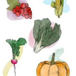 Veggies & Fruits