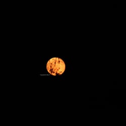 Moon Mai 2014 © by Dina.T