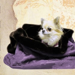Kuschelsack **VELVET DREAM** Hundekuschelsack