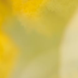 Lichtbilder neu (7 von 18)