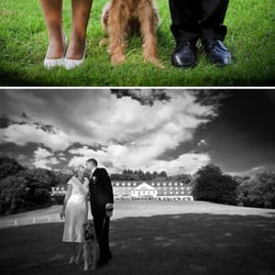 wedding-bg-4-web-top