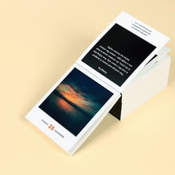 photodarium 2018 24