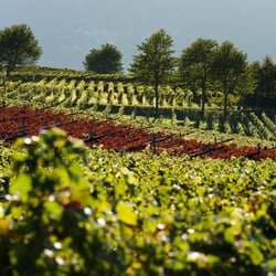 Landschafts Fotografie – Florian Berger @kreatif.it