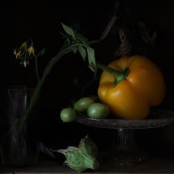 Nachtschatten