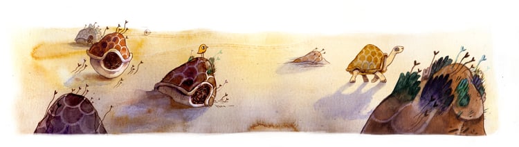 Pinta Riesenschildkröte