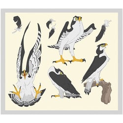 Nacre: falcon Terzel sheet