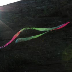 sunny moments