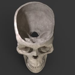 Skullcut