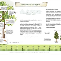 Der Baum und sein Nutzen