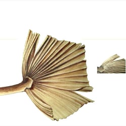 portfolio24