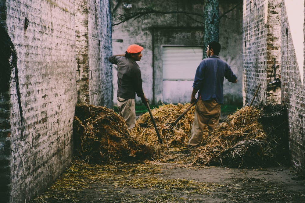 Farm´s worker