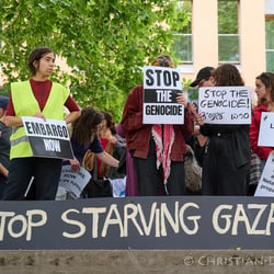 Politik | Kundgebung | Israelis gegen Gazakrieg