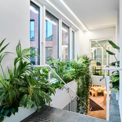 Architekturfotografie, Interiorfotografie, Immobilienfotografie