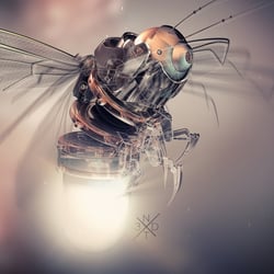 firefly new Kopie