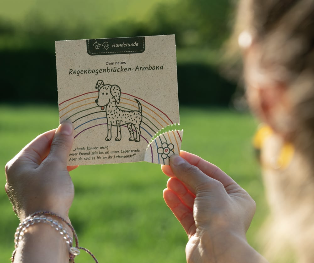 HR Flyer-mit-Samen Regenbogenbruecke