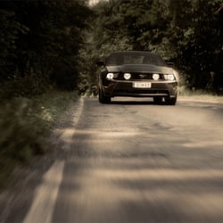 Mustang