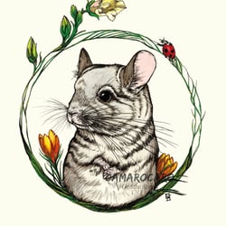 Chinchilla Osterkarte
