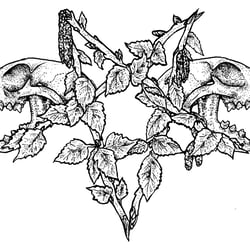 Freyja Pentragram