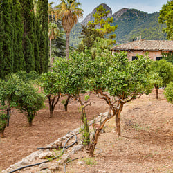 Jardines de Alfabia, Mallorca