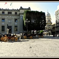 Plaza de Los Reyes, Sevilla
