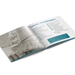 Imagebroschüre für »Naturgetreu GmbH«, Innenseiten