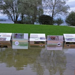 Amphibienpfad Kreuzlingen