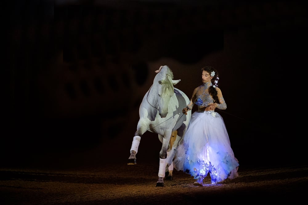 Galashow „Dreams“ Hansepferd 2016