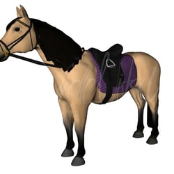 Pony