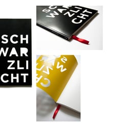 „Schwarz/Licht – Untersuchung und Visualisierung von biolumineszenten Lebensformen der Tiefsee“ // Bachelorarbeit Theorie