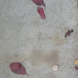 Herbst…Oktober 2012 Teil 02