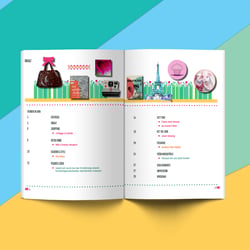 ANN –  Konzept für ein neues Lifestyle-Magazin – Inhalt