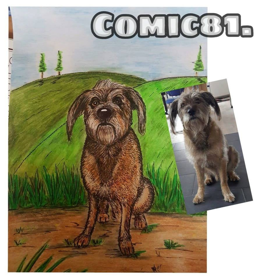 Funny der Hund, Aquarell