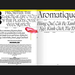 The World’s Best Typography, Typography 46