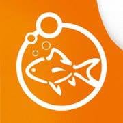 GOLDfisch ART GmbH