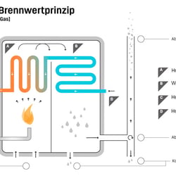 Ekozet – Infografik | Mit Friendship Berlin