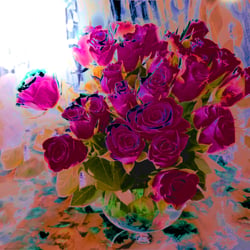 Roses2