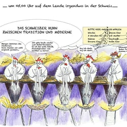 Schweizhuhn