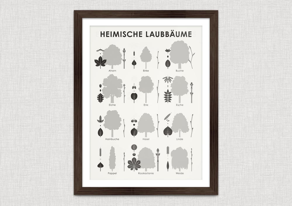 Schautafel Heimische Laubbäume