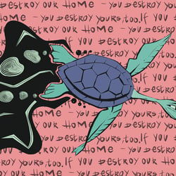 Turtle Message