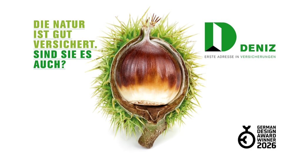 Deniz Versicherungsagentur – Corporate Design