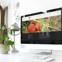 Website für den Brachter Hof