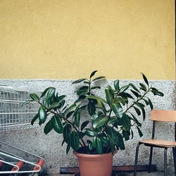 Supermarkt im Kleinformat