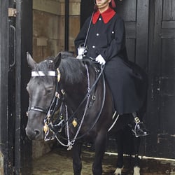Horse Guard – London